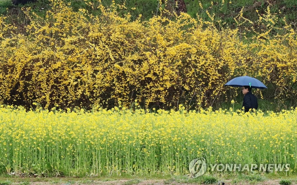 봄 산책