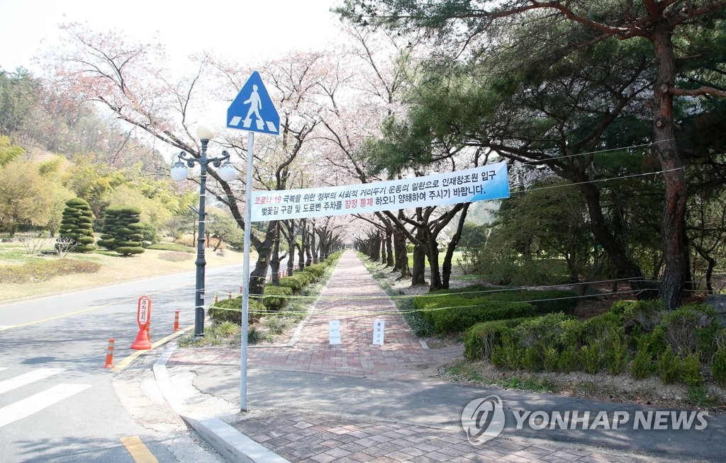 한산한 포항 인재창조원 벚꽃길