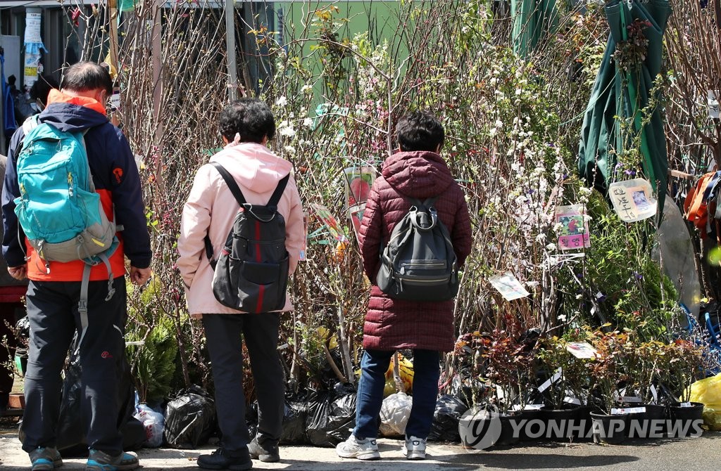 묘목 고르는 시민들