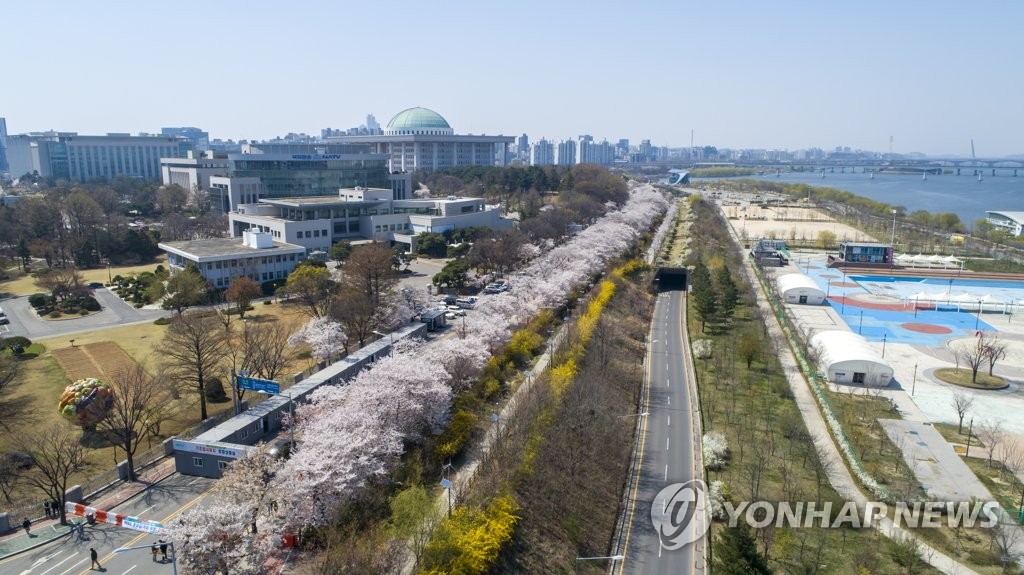 폐쇄된 윤중로, 벚꽃 구경은 다음 기회로