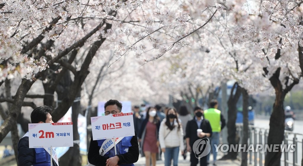 벚꽃길 거리두기