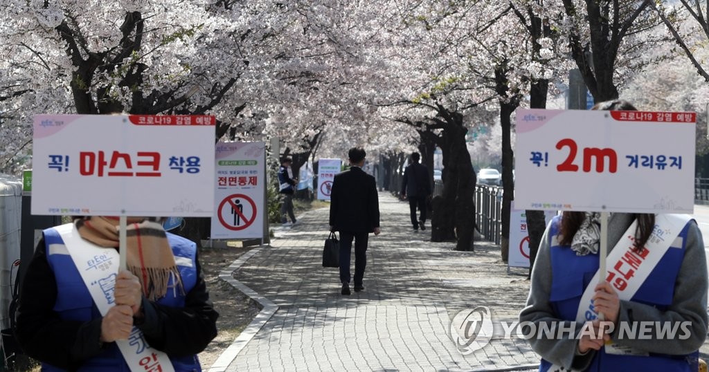 벚꽃길 거리두기