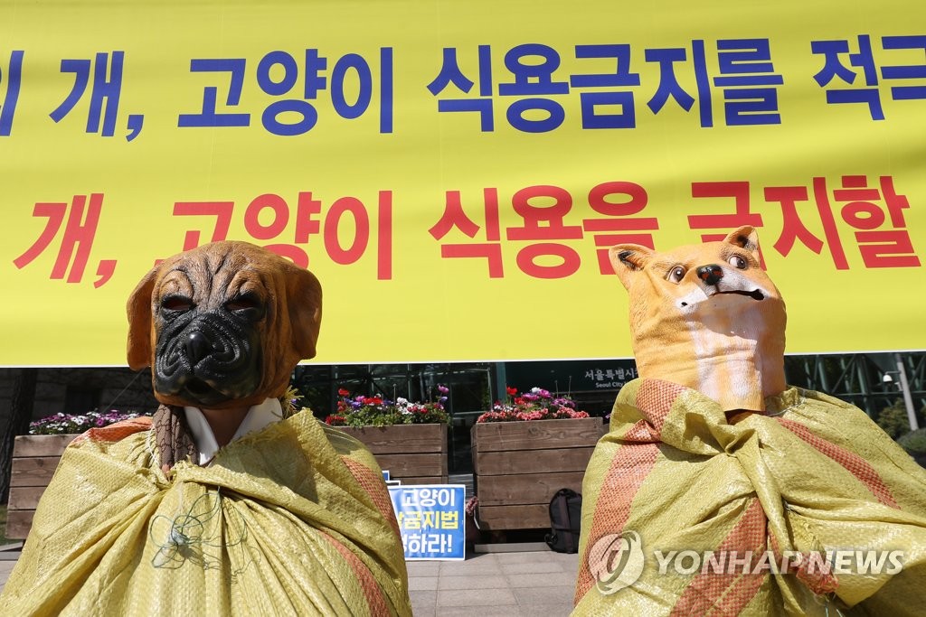 중국 이어 국내의 개ㆍ고양이 식용 금지 촉구
