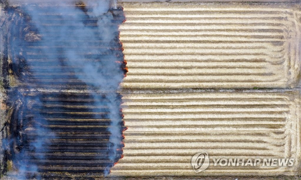 타들어가는 보리밭