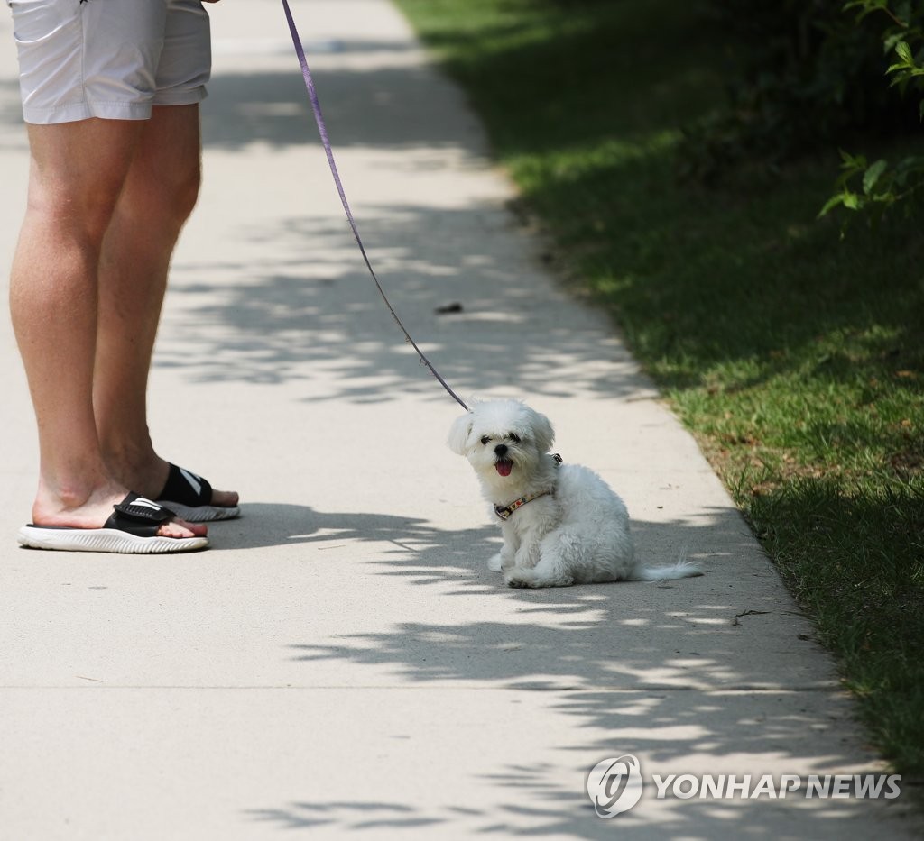 아버지 저 더는 못 갑니다