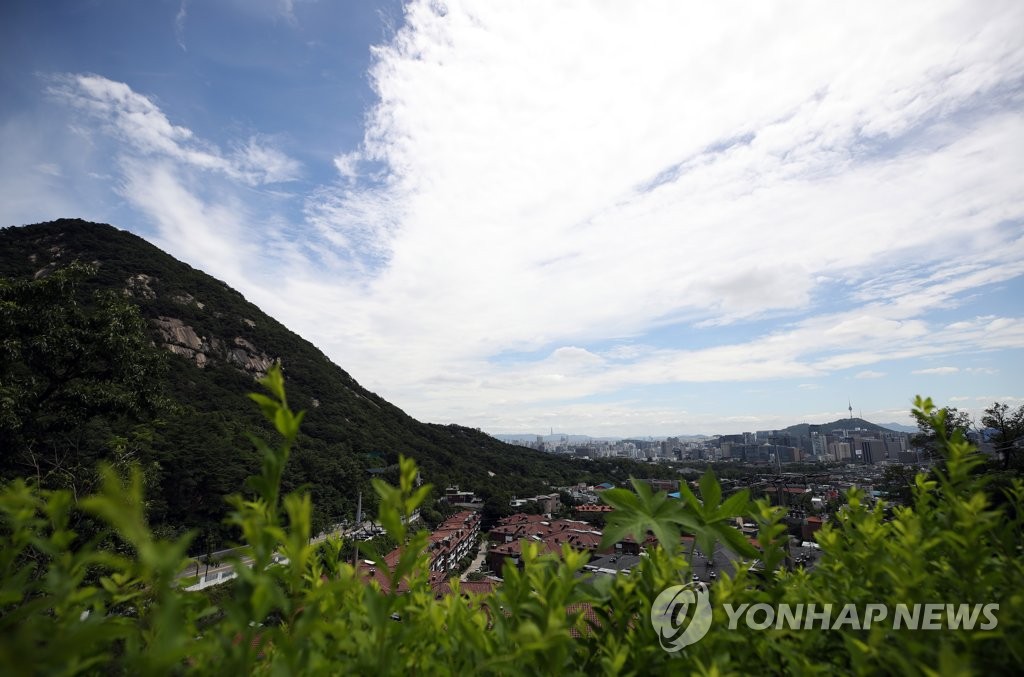 푸릇푸릇한 여름 하늘