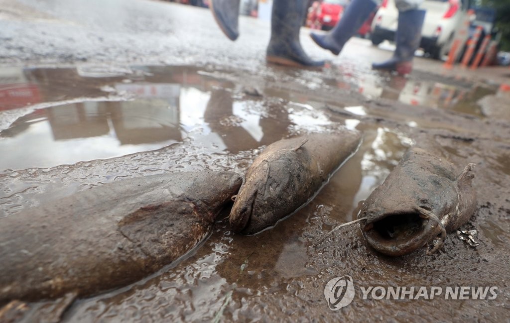 하동 화개장터 침수 현장