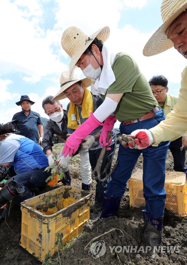 Lawmaker helps restore flood-hit area Lawmaker helps restore flood-hit area