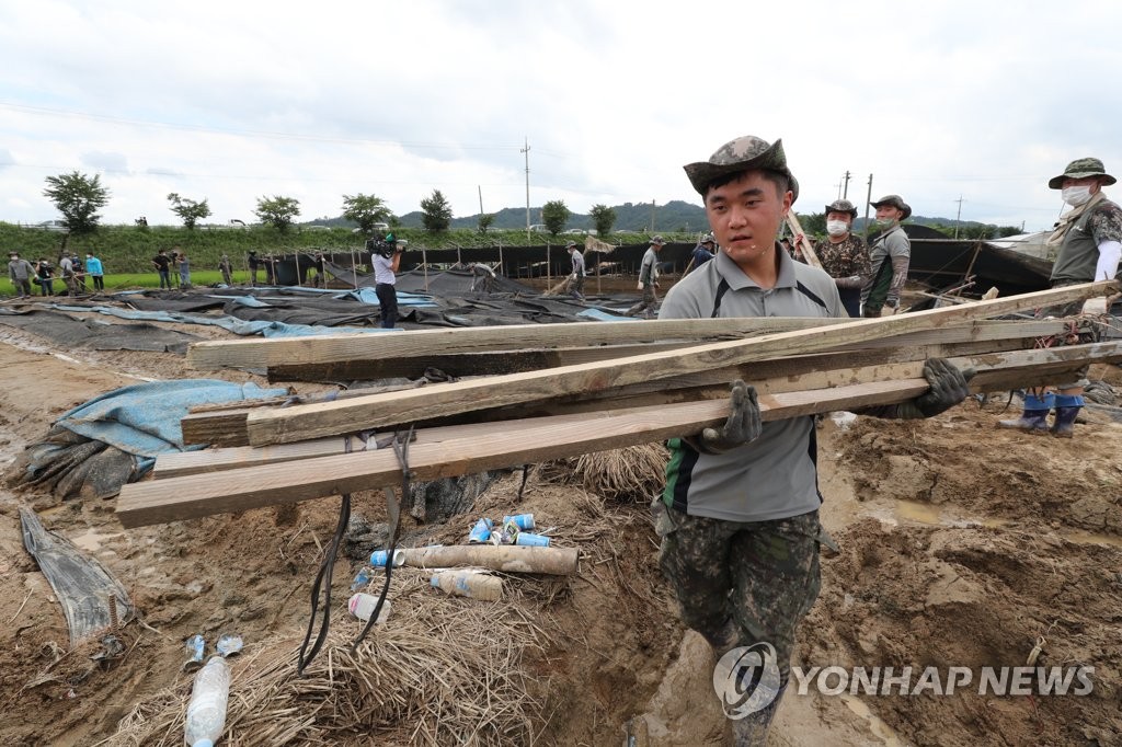 인삼밭 복구하는 장병들