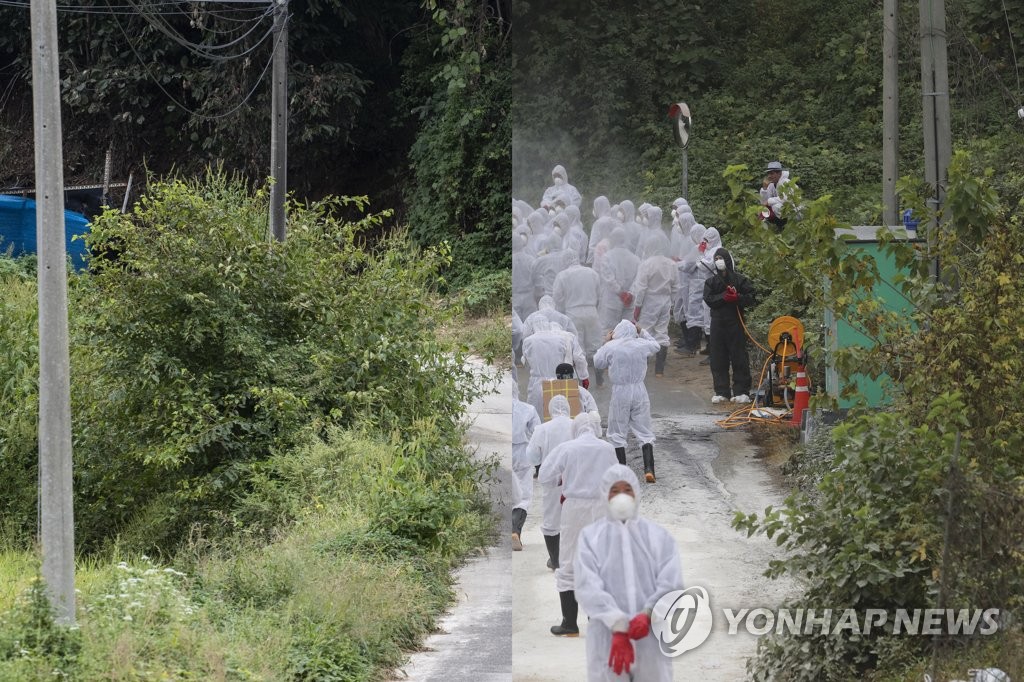 ASF 발병으로 시간이 멈춘 양돈농가