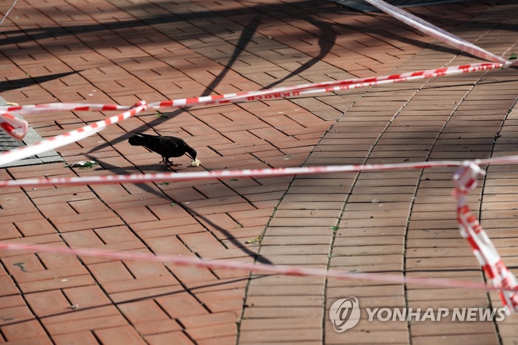 비둘기만 있는 공원