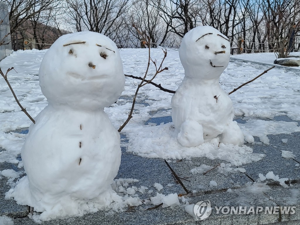 도로 변 눈사람