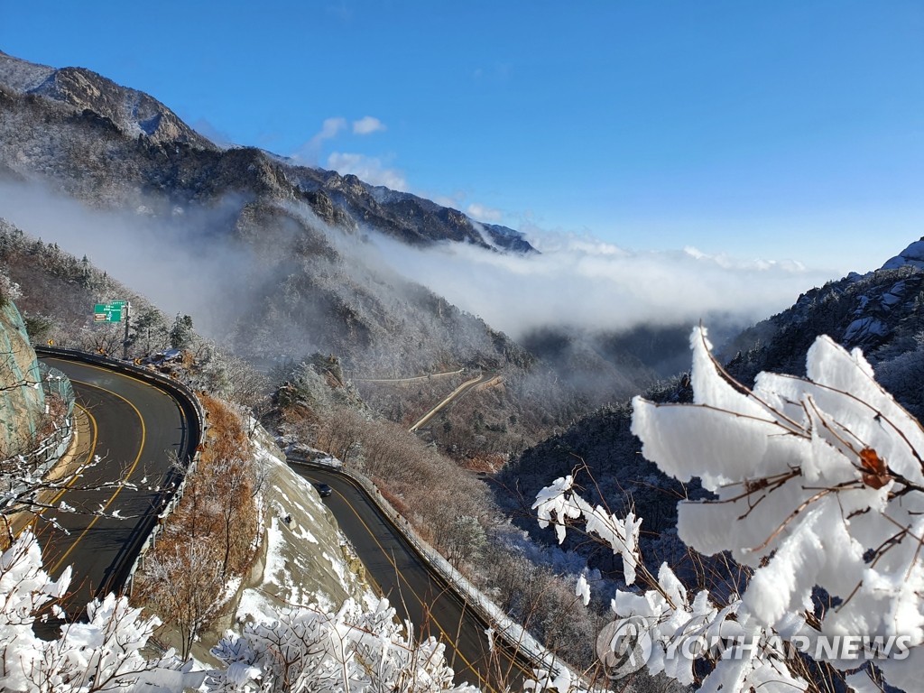 Snowy landscape Snowy landscape