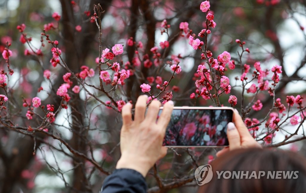 Unseasonal blossoming Unseasonal blossoming