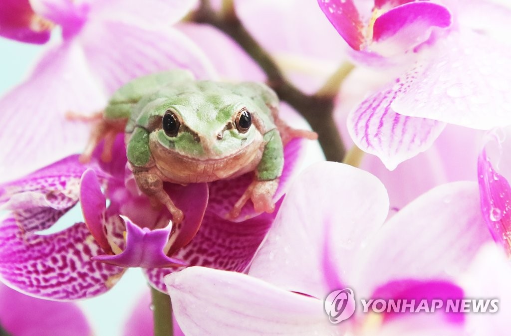 春はすぐそこに 春はすぐそこに