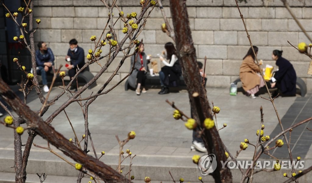 포근한 날엔 야외 점심