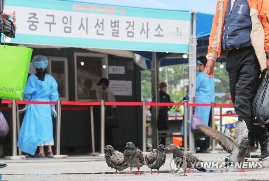 선별진료소 앞 비둘기 목욕탕