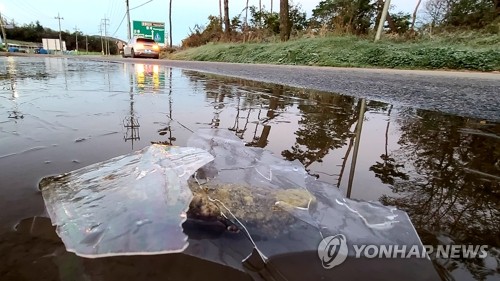 "춥다 추워" 얼음 언 대관령