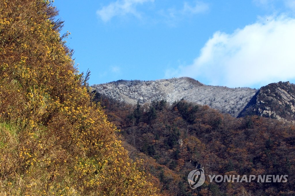 '가을과 겨울의 공존'…전국 곳곳 아름다운 풍경