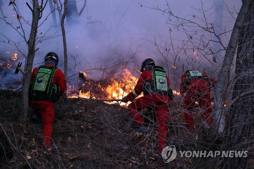 Firefighters battle a wildfire in the eastern coastal county of Uljin on March 4, 2022. (Yonhap)