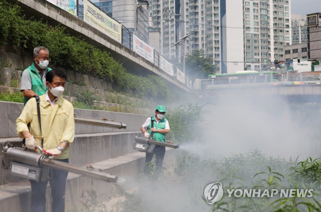 도심 덮친 '러브버그' 대비 선제방역