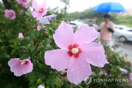 '무궁화꽃이 피었습니다'