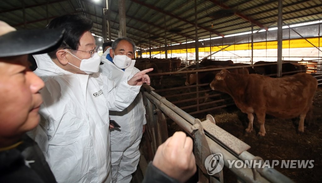 한우 축사 보는 이재명 대표