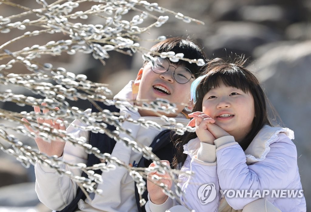 버들강아지와 아이들
