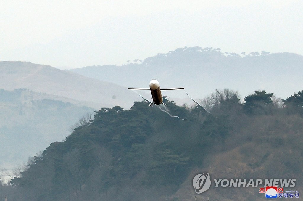 N. Korea's strategic cruise missile drill N. Korea's strategic cruise missile drill