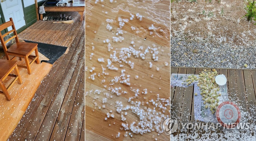 소나기와 함께 내린 우박