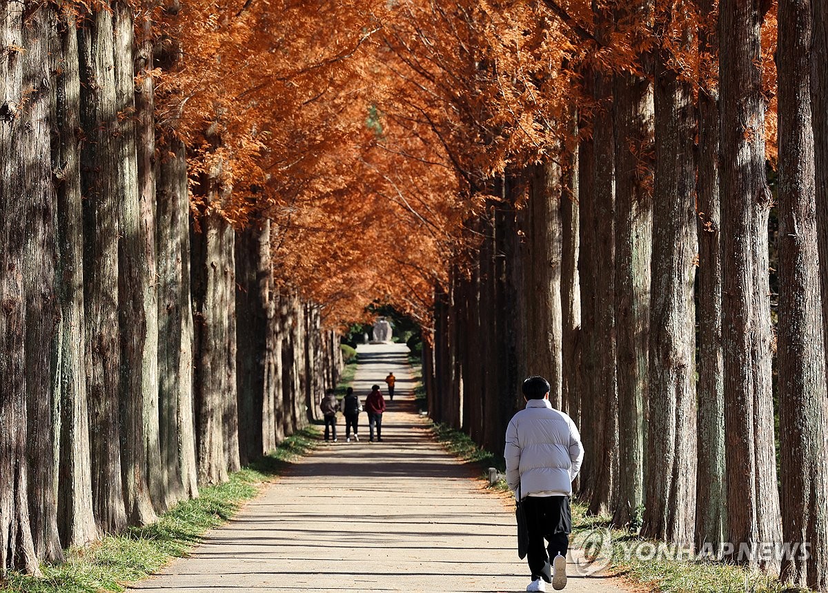 겨울로 가는 길목