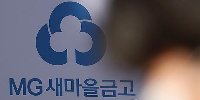 새마을금고 "양문석 '편법대출' 의혹 검사…위법시 회수"