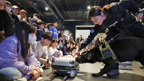 >'폭발물을 찾아라!'…서울 종로구 경찰박물관