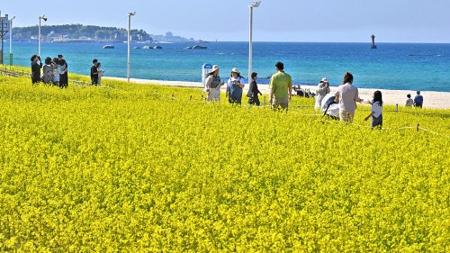 '봄 바닷가'…강릉 사근진해변