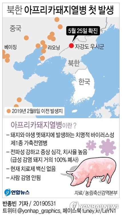 N. Korea's official newspaper confirms outbreak of African swine fever
