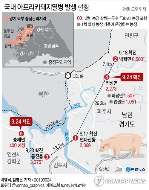 인천 강화서 국내 5번째 아프리카돼지열병…방역대 뚫려 - 1