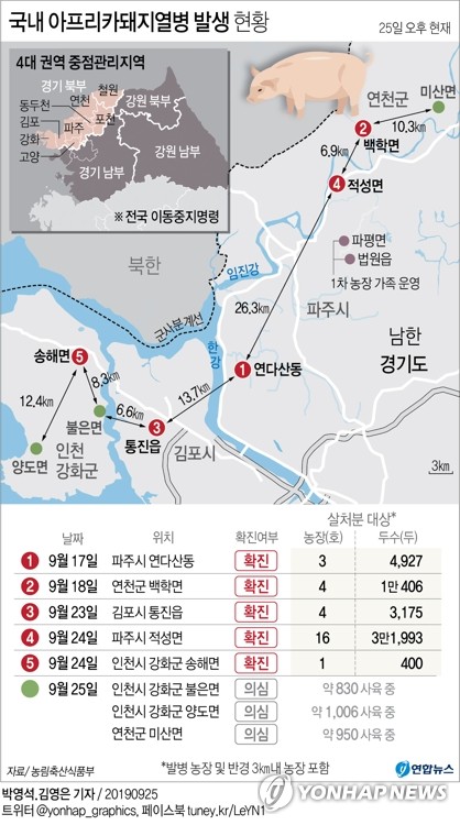 경기 연천·인천 강화서 돼지열병 의심신고 3건 잇따라(종합) - 1