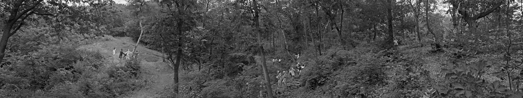 This image, provided by Kukje Gallery on May 25, 2017, is a still image from "Citizen's Forest," a 26-minute-long black-and-white video. (Yonhap)