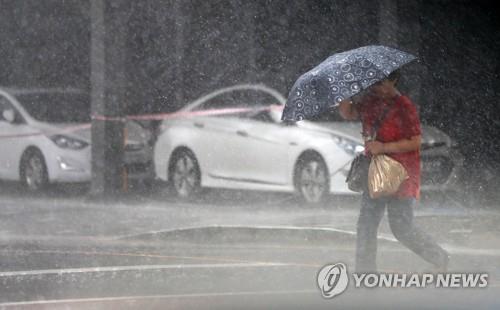 A citizen walks on a street in Busan on Aug. 6, 2019, amid heavy rain and strong wind caused by the approach of Typhoon Francisco. (Yonhap)