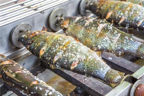 This photo of Cheongpyeong Trout Festival is downloaded from the website of the Korea Tourism Organization. (PHOTO NOT FOR SALE) (Yonhap)