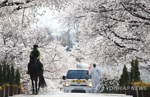 Disinfection is under way while a rider trains a horse for racing at the LetsRun Park Seoul in Gwacheon, Gyeonggi Province, on April 5, 2020. The park was closed due to the coronavirus. (Yonhap)