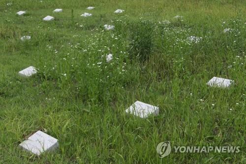 Red Cross offers to take care of cemetery for N.K. soldiers