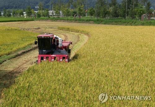 Monthly KOREA] Oh, So Rice :  : The official website of the  Republic of Korea