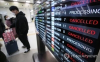 40 flights canceled on Jeju Island due to bad weather