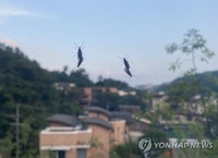 Seoul sees surge in lovebug complaints