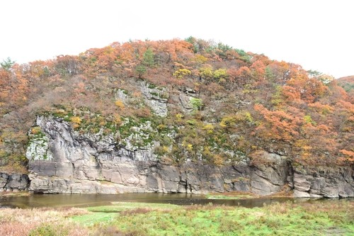 This file photo, provided by the Korea Heritage Service, shows the Bangudae petroglyphs site in the county of Ulju, in Ulsan, about 300 kilometers southeast of Seoul. (PHOTO NOT FOR SALE) (Yonhap)