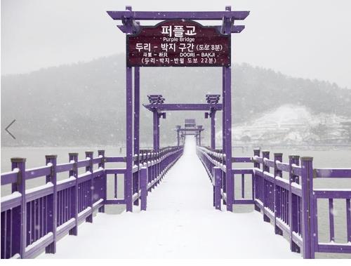 紫でいっぱいのパープル島 韓国代表観光地１００選に入選 聯合ニュース