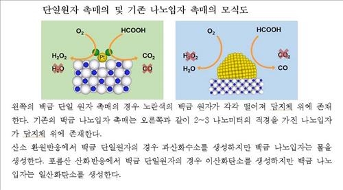 '촉매의 왕' 백금 단일원자 촉매 전기화학 반응 성공 - 2