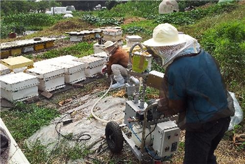 인천시, 꿀벌 질병 예방해 벌꿀 생산성 높인다 - 2