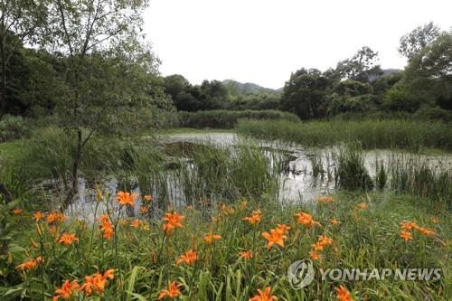 '산길 걷고 생태밥상 만들고' 전북 6곳서 겨울철 생태체험행사